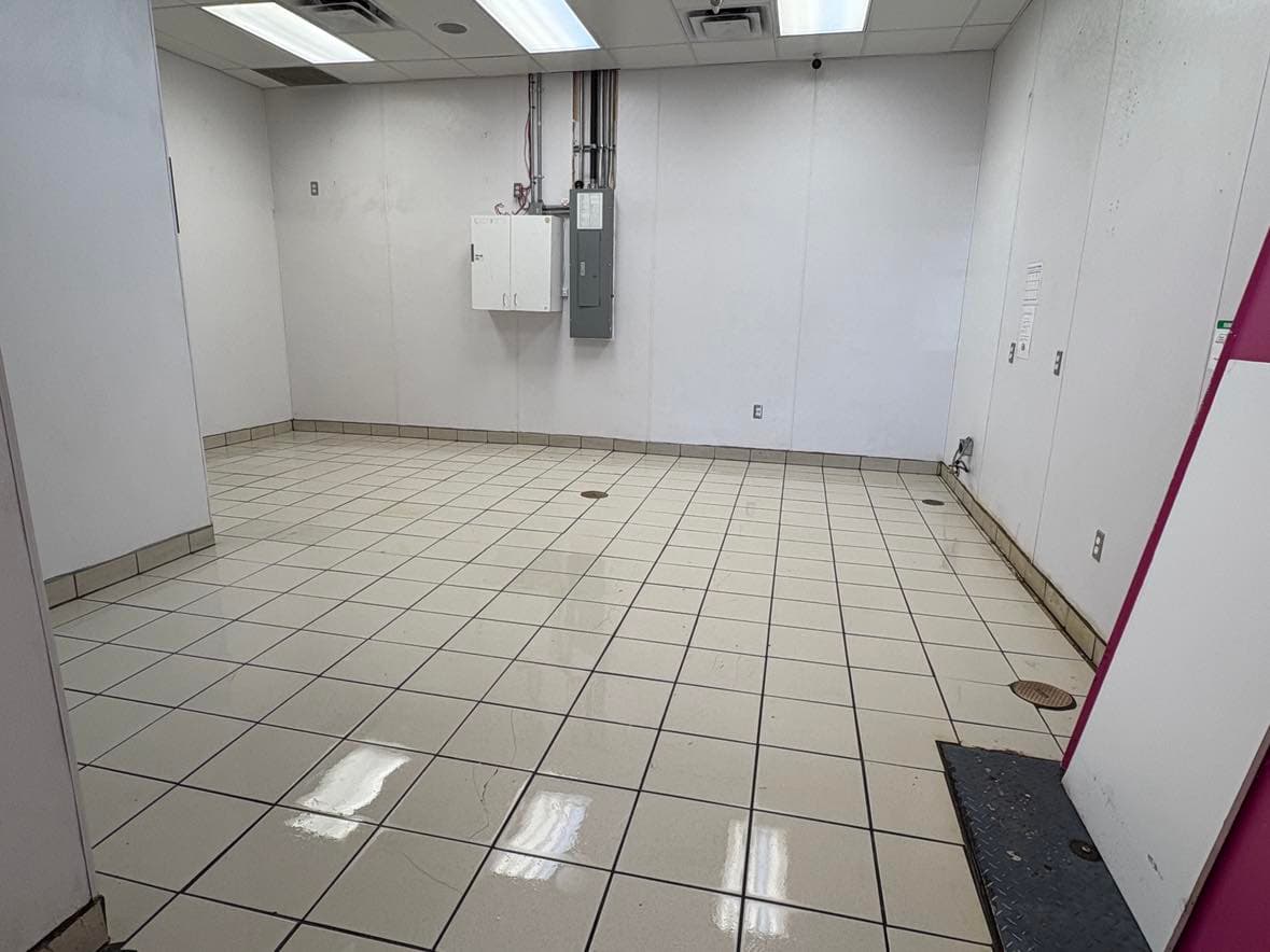 After Move-in Cleaning